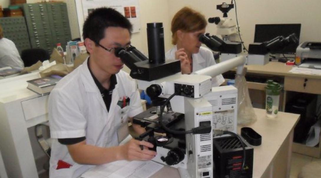 Projects Abroad Medicine interns look through microscopes at a medical centre during their medical placements in China. Two Medicine interns use microscopes at a workshop during their medical internship in China.